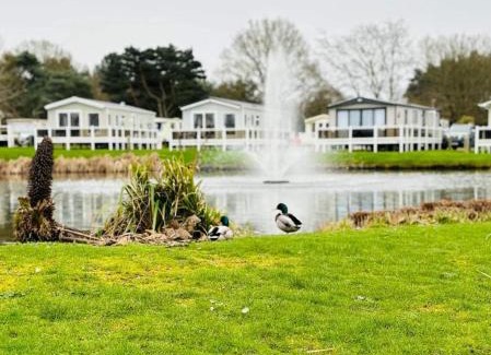 Belton Other | Swift Retreat - Haven Wild Duck Holiday Park