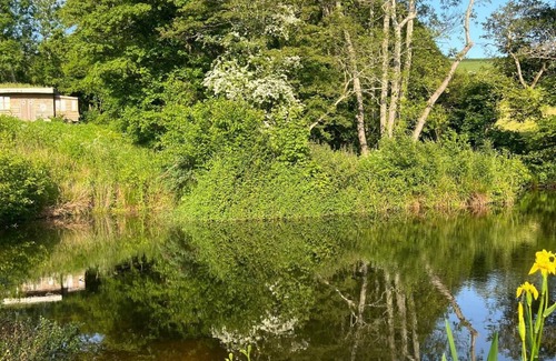 Bridport Cabin | Swimming lake coast close cosy self contained hobbit house amazing walks &views,