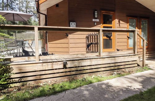 Ripley Cottage | SWINSTY LODGE, pet friendly, with a garden in Darley