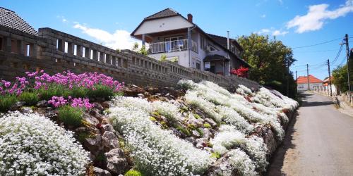 Villany House | Szabó Vendégház