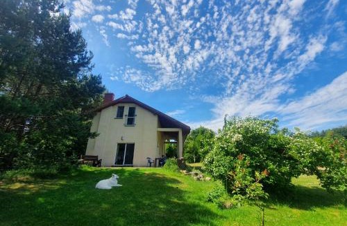 Wałcz Apartment | Szmaragdowy Raj