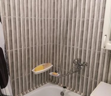 Siauliai City Center Apartment | Tėjos guest house