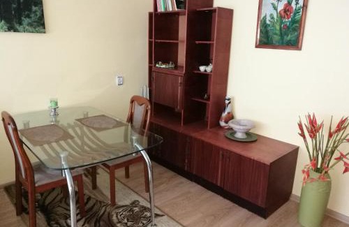 Siauliai City Center Apartment | Tėjos guest house