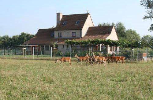 Lo-Reninge House | 't Leeg Huys