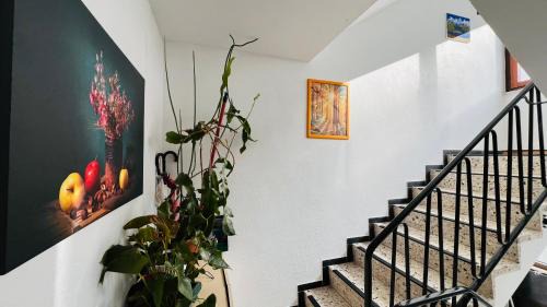 Ehrenstein Apartment | T&T Panorama Apartment