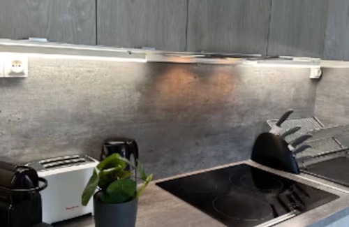 Centre Ville Rive Gauche Apartment | T3 Seine - Flaubert