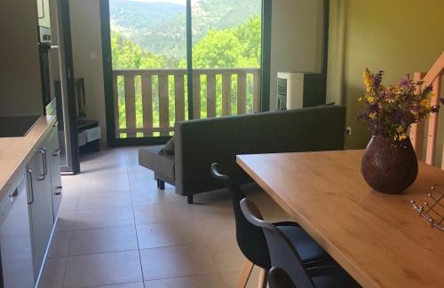 Villard-de-Lans Apartment | T3 Terrace in a Chalet with unobstructed view