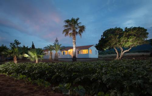 Xifias Apartment | Ta Ambelakia