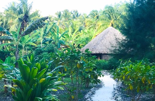 Taha'a House | TAHAA - Motu Lodge Maohi