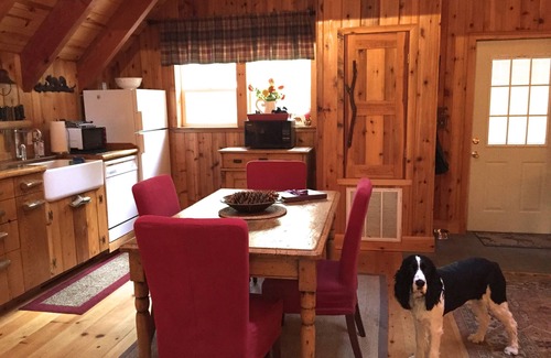 Sunnyside Cabin | Tahoe Park Architectural Gem – Cozy, Convenient & Dog-Friendly!