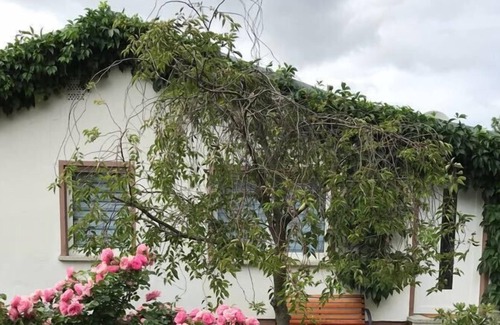 Meisdorf House | Take a vacation at the gate to Selketal