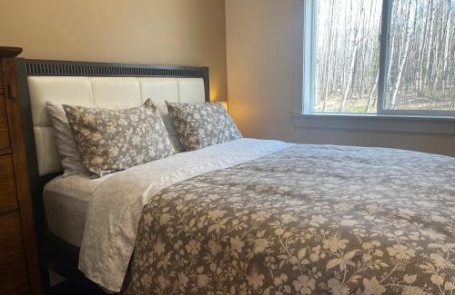 Susitna North Ski Chalet | Talkeetna Mount Dall Cottage with WiFi&laundry
