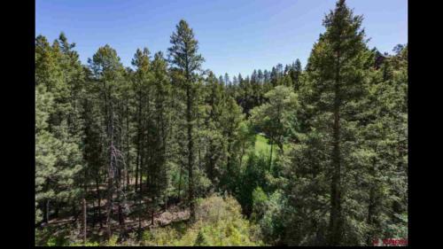 Purgatory House | Tamarron PineCone 828
