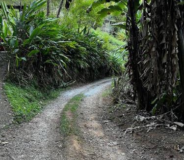 Sao Francisco Xavier House | Tao da Serra - cabana em meio à natureza!