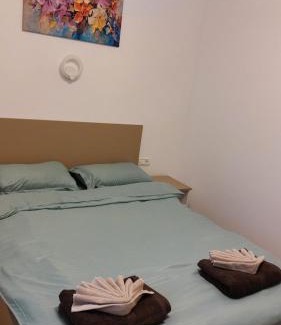 Tirgu Jiu Apartment | Targu Jiu Central Apartment