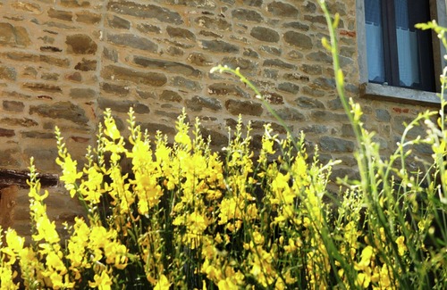 Modigliana House | Tasteful holiday home in Modigliana with garden