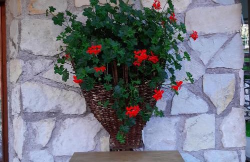 Vodo Cadore Apartment | TAULA' DEI CARLE