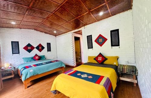 Sa Pa House | Tavan Paddy Field Homestay