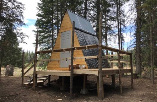 Clearwater County Cabin | Tay River Treehouse nestled on Tay River