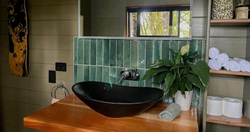 Ngahere House | Te Aka Treehouse