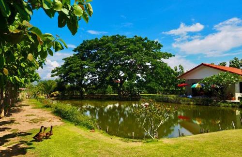 San Pa Thong Ski Chalet | Tea Tree House in Chiang Mai
