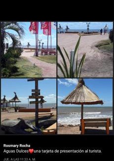 Aguas Dulces House | Techos amarillos 1