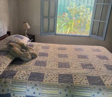 Aguas Dulces House | Techos Amarillos II