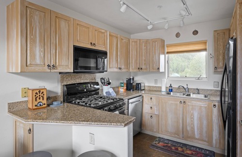 Telluride Apartment | Telluride Resort View at Double Diamond, Ski-in/out, mountain views and hot tub!