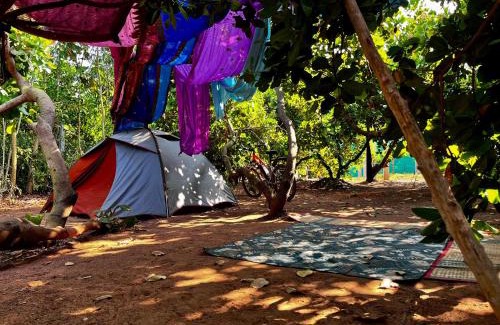Auroville Other | Tentopia