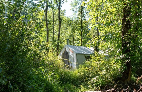 Salt Point RV Rental | Tentrr Signature Site - Creekside Solitude