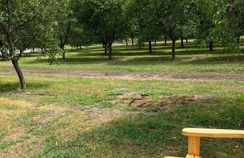 Central Lake RV Rental | Tentrr Signature Site - Shooks Farm Site