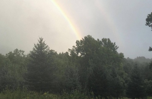 Cooperstown RV Rental | Tentrr Signature Site - Sean Billy Pond Hideaway