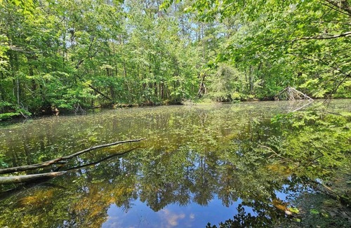 Deer Lodge RV Rental | Tentrr Signature Site - Reflection Tree Art Farm Forest site