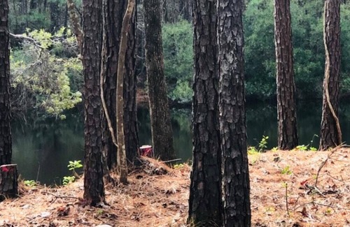 Huntsville RV Rental | Tentrr Signature Site - Exodus XX: Lakefront Private Campsite at Shabbat Retreat