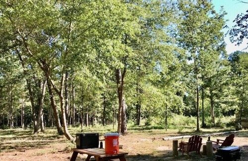 Montgomery RV Rental | Tentrr Signature Site - Hidden Forest - Coleman Outfitted Site