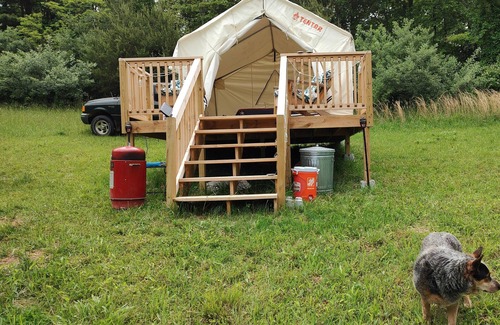Ironto RV Rental | Tentrr Signature Site - Bears Playground, a Wilderness Retreat