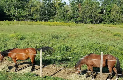 Aurora RV Rental | Tentrr Signature Site - Featherfoot Farm