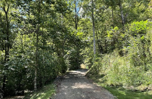 Sylva RV Rental | Tentrr Signature Site - Honeybee Homestead