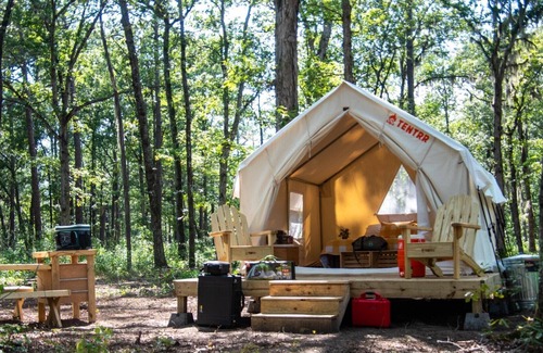 Florence RV Rental | Tentrr Signature Site - The Woods at Black Creek - The Swamp Fox