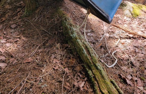 Galilee RV Rental | Tentrr Signature Site - Wild Fox Cabins Tentrr Adventure