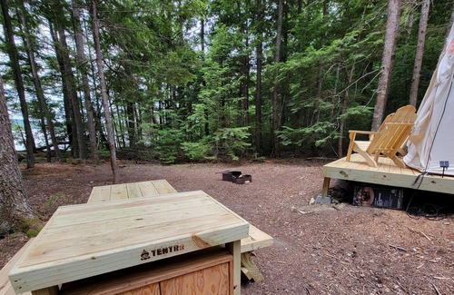 Galilee RV Rental | Tentrr Signature Site - Wild Fox Cabins Tentrr Adventure