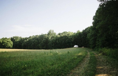 Westtown RV Rental | Tentrr Signature Site - Camp Coal Tree