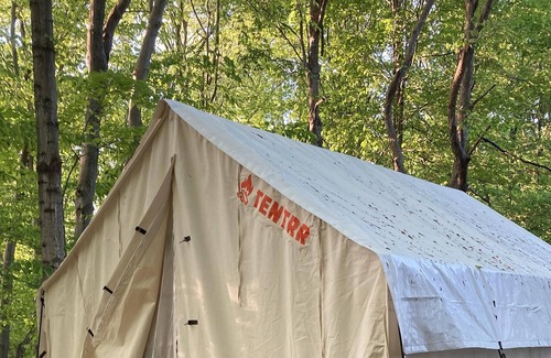 Honeoye Falls RV Rental | Tentrr Signature Site - Fern Gully
