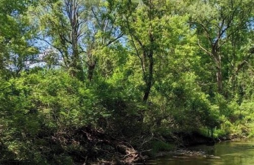 Honeoye Falls RV Rental | Tentrr Signature Site - Fern Gully