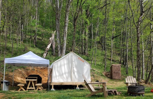 Roan Mountain RV Rental | Tentrr Signature Site - Greener Acres Roan Mountain View