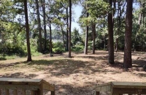 Huntsville RV Rental | Tentrr State Park Site - Texas Huntsville State Park - Site A - Single Camp