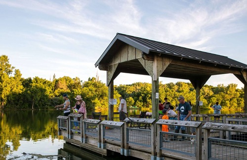 Cass County RV Rental | Tentrr State Park Site - Nebraska Louisville SRA – Cottonwood F – Single Camp