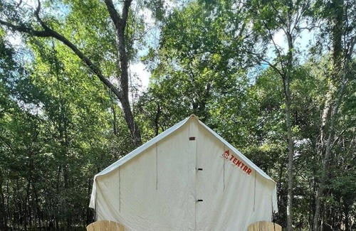 Texas Gulf Coast Region RV Rental | Tentrr State Park Site - Texas Brazos Bend State Park– Trailside D – Single Ca