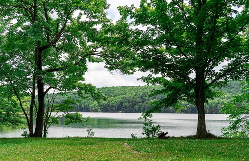 Ancram RV Rental | Tentrr State Park Site - Lake Taghkanic Lakeside Triple - Site A