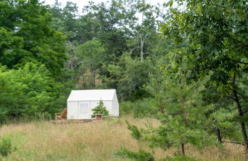 Mathias RV Rental | Tentrr State Park Site - WV Lost River State Park - Site F - Single Camp